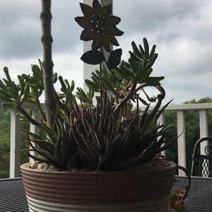 Meet your Posher, Ava